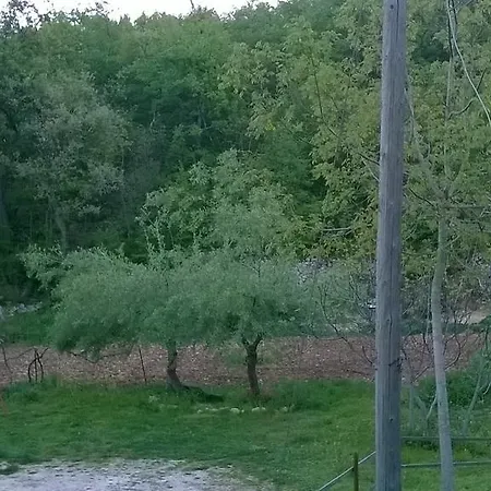 Vakantieboerderij La Pagliarella