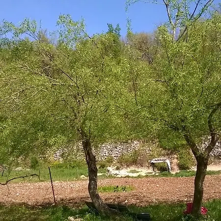 La Pagliarella Farm stay
