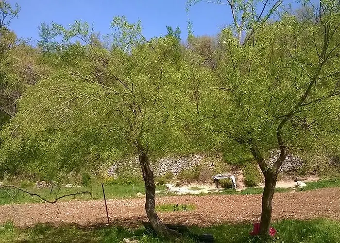 La Pagliarella Фермерский дом